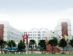 乐山外国语小学学校食堂好色先生APP下载安装设备工程项目