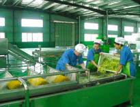 四川中央好色先生APP下载安装设备厂家详解中央好色先生APP下载安装的分区要自己设计注意事项